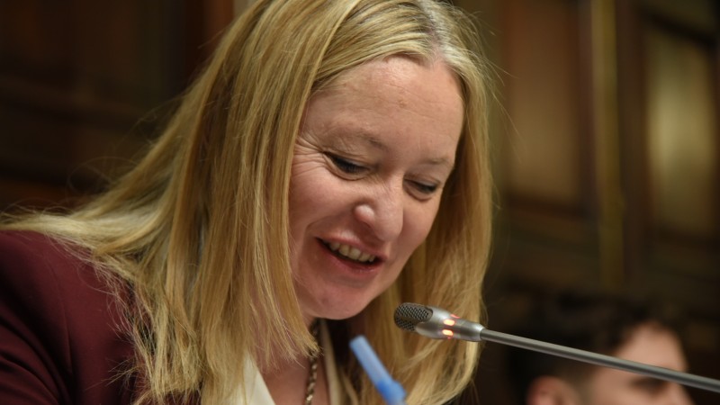 El Senado aprobó la Ley Hojarasca: estas son las leyes que serán derogadas en Mendoza